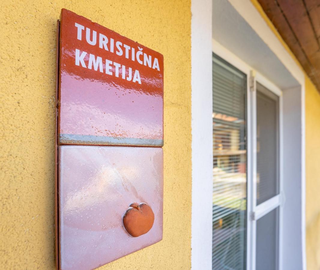 Fortun Estate - Apartmaji Ob Reki Kolpi Metlika Buitenkant foto