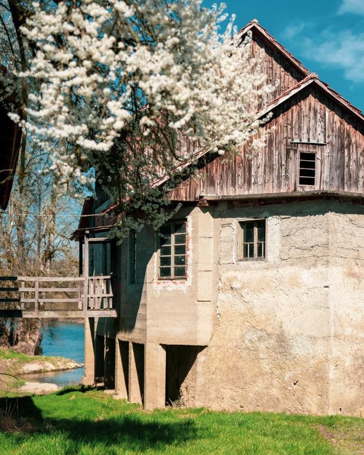 Fortun Estate - Apartmaji Ob Reki Kolpi Metlika Buitenkant foto